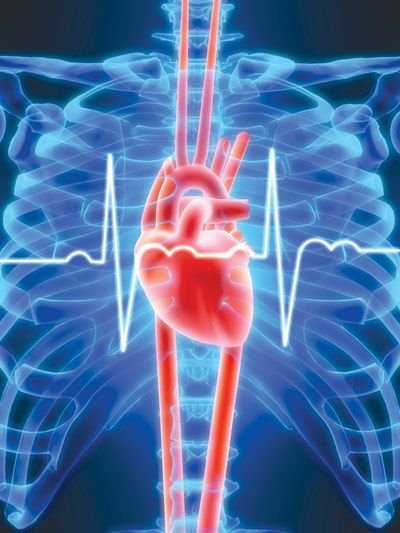 انواع امراض القلب